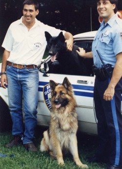 שוטרים עומדים ליד כלבים וניידת משטרה- אילוף כלבים, פנסיון כלבים