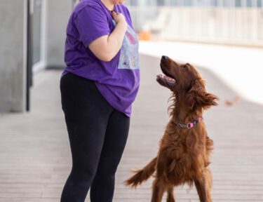 חוות הכלבים של דרור