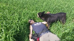 איש וכלב שוכבים מאושרים בשדה ירוק- אילוף כלבים, פנסיון כלבים