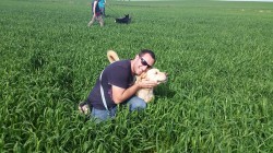 איש וכלב מאושרים מתחבקים בשדה ירוק בחוות הכלבים של דרור- אילוף כלבים, פנסיון כלבים