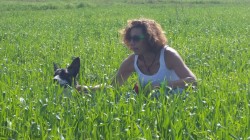 אישה וכלב בשדה- אילוף כלבים, פנסיון כלבים