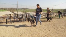 אישה רצה עם כלב על עפר- אילוף כלבים, פנסיון כלבים