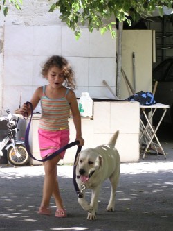 ילדה קטנה וכלב מאושרים מטיילים ביחד- אילוף כלבים, פנסיון כלבים