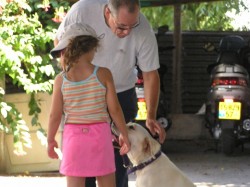 איש מבוגר מלטף כלב שמטייל עם ילדה- אילוף כלבים, פנסיון כלבים