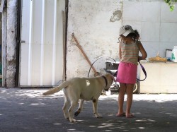 ילדה משחקת עם כלב- אילוף כלבים, פנסיון כלבים