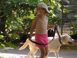 ילדה מאשורת עם כובע מטיילת עם כלב לבן גדול- אילוף כלבים, פנסיון כלבים
