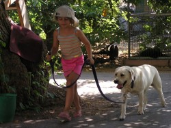 ילדה מאושרת עם כובע מטיילת עם כלב לבן גדול- אילוף כלבים, פנסיון כלבים