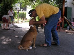 איש מבוגר מצמיד את פניו לפנים של הכלב- אילוף כלבים, פנסיון כלבים