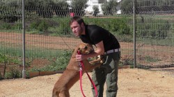 איש מחזיק כלב שמח- אילוף כלבים, פנסיון כלבים